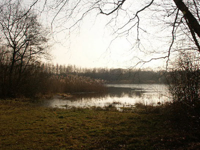 Klik voor een dia voorstelling van Bospark Ree&euml;nlust