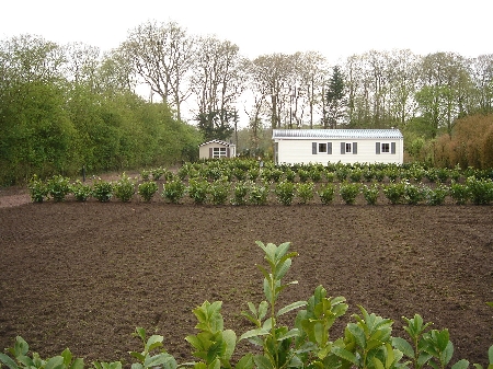 Koopkavel (vanaf prijs � 27.000.00)